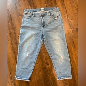 18W Ava & Viv straight leg jeans